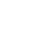 Audit Logs
