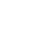 Encrypted Data