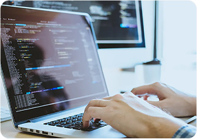 Website Development-ser