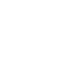 Fiber Optic1