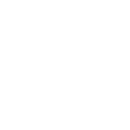 seo12